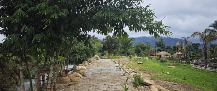 Ảnh chụp tại Làng Chữa Lành