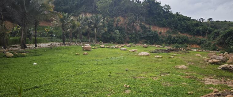 Ảnh chụp tại Làng Chữa Lành