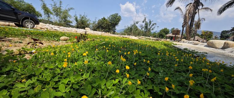 Ảnh chụp tại Làng Chữa Lành
