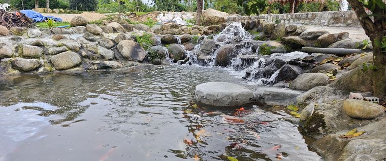 Ảnh chụp tại Làng Chữa Lành