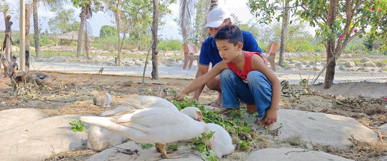 Ảnh chụp tại Làng Chữa Lành