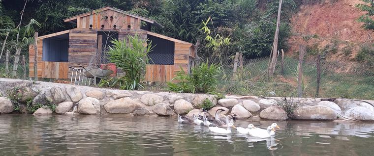 Ảnh chụp tại Làng Chữa Lành