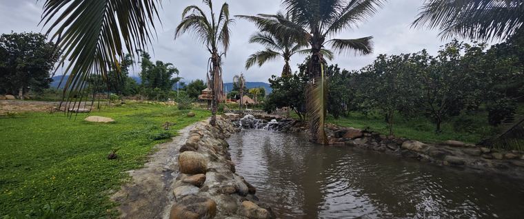 Ảnh chụp tại Làng Chữa Lành