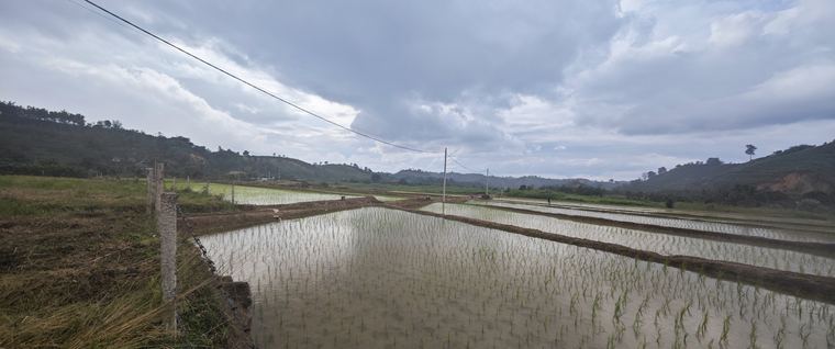 Ảnh chụp tại Làng Chữa Lành