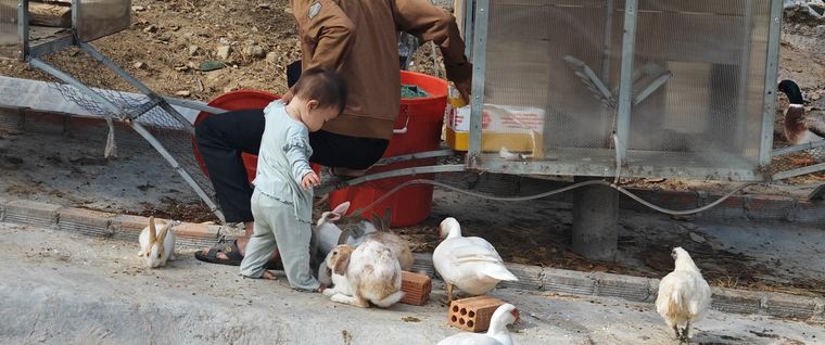 Ảnh chụp tại Làng Chữa Lành
