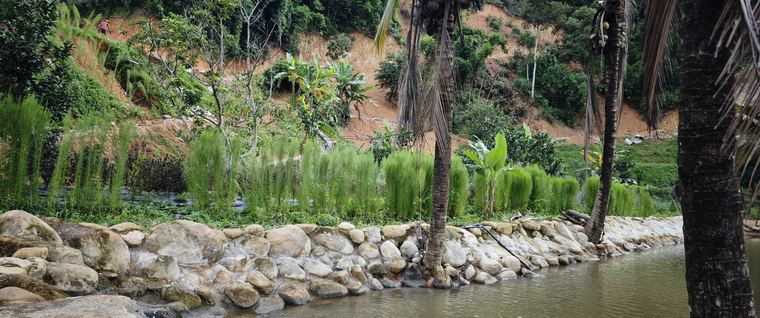 Ảnh chụp tại Làng Chữa Lành
